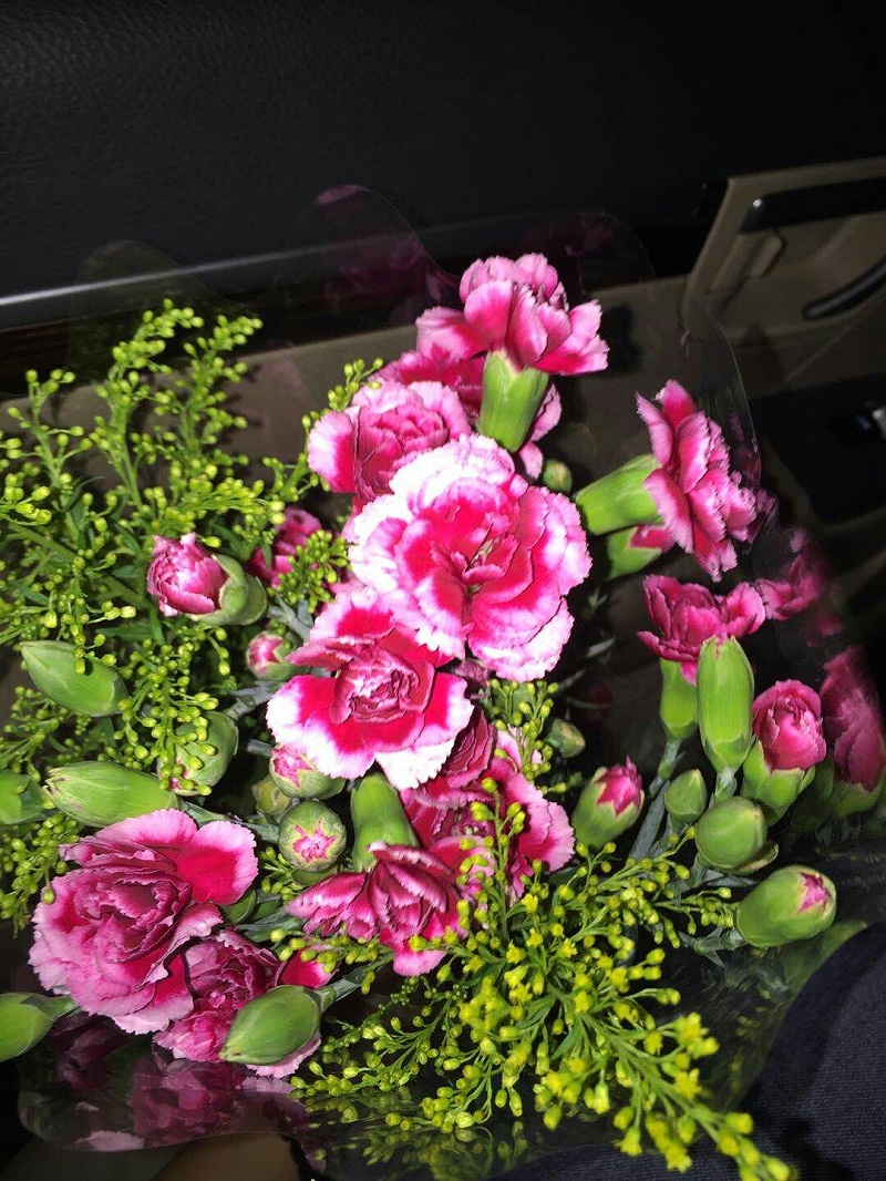 QQ圖片20190404144239