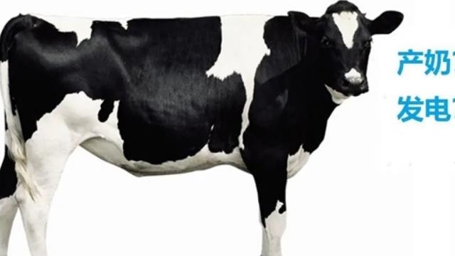 牛糞也能發電！全國最大單體生物質RNG熱電項目投產